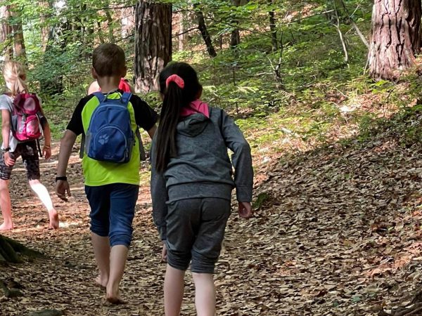 Flurreinigung - freiwillig bringt's