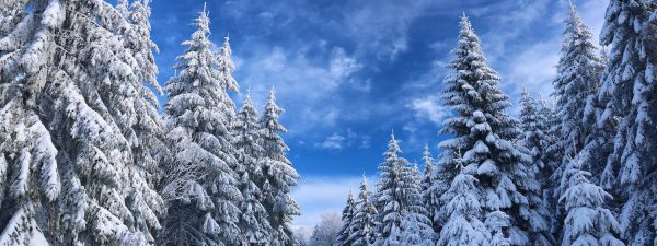 Langlaufkurs 2025/2026