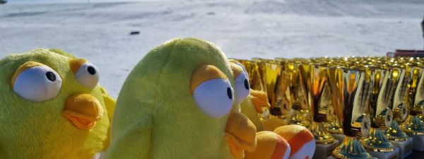 Neues Konzept - Kinderskikurs