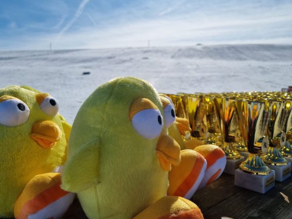 Neues Konzept - Kinderskikurs