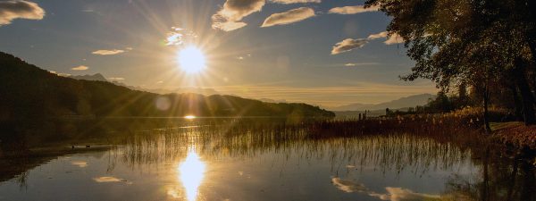 Walk & Run into the Sun 2025