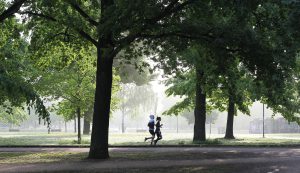 Laufgruppe_3