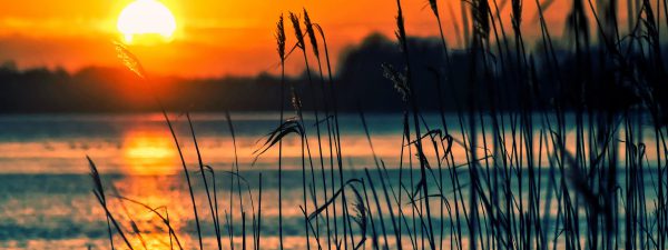 Walk & Run into the Sun 2026