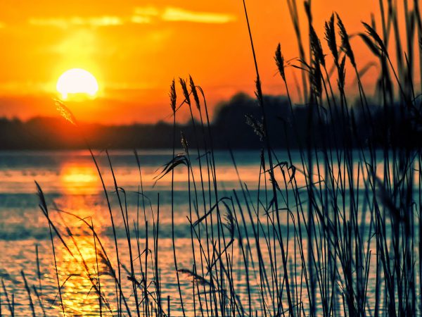 Walk & Run into the Sun 2026